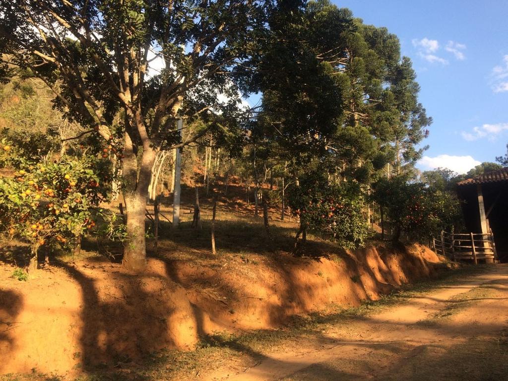 Apartamento Ferias Fazenda Usina 1 Bocaina de Minas Exterior foto